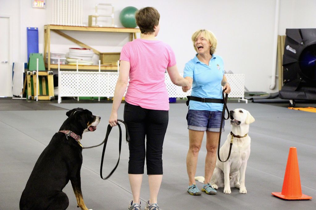 Cloud Nine’s Dog Training Classes in Minnesota